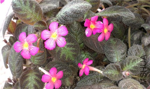 IMAG1028_����.jpg