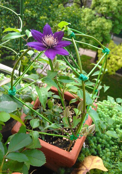 QQͼƬ20140712090258.jpg