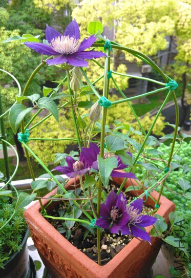 QQͼƬ20140715090941.jpg