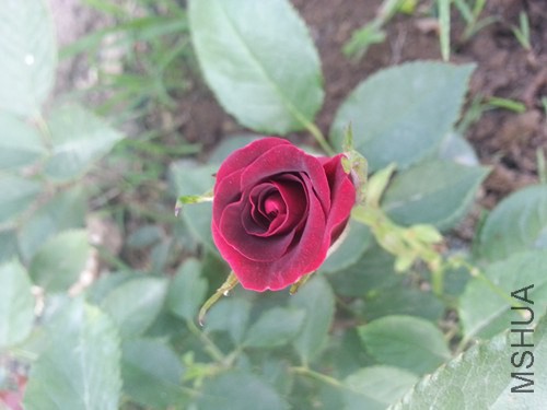 20140711_180637_����.jpg