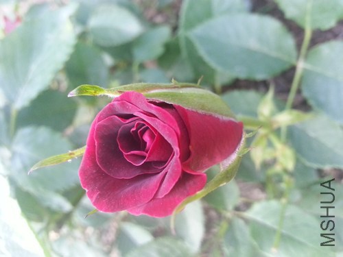 20140711_180642_����.jpg