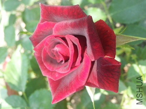 20140712_123309_����.jpg