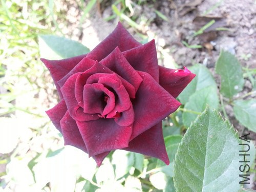 20140713_102932_����.jpg