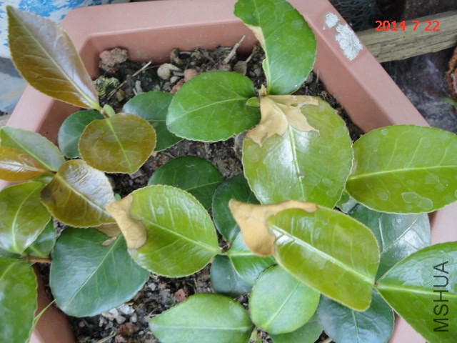 DSC05518.JPG