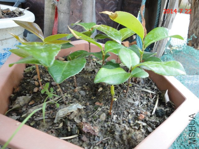 DSC05527.JPG