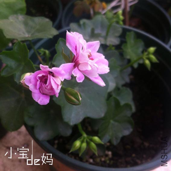 QQͼƬ20140720071057.jpg