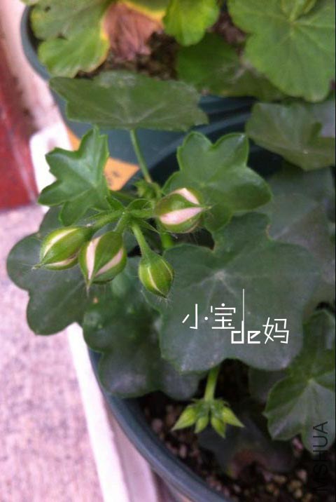 QQͼƬ20140720071130.jpg