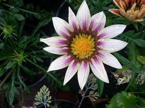 20140630_175937_����.jpg