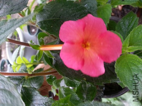20140721_064321_����.jpg