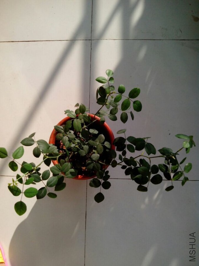 QQͼƬ20140723072159.jpg