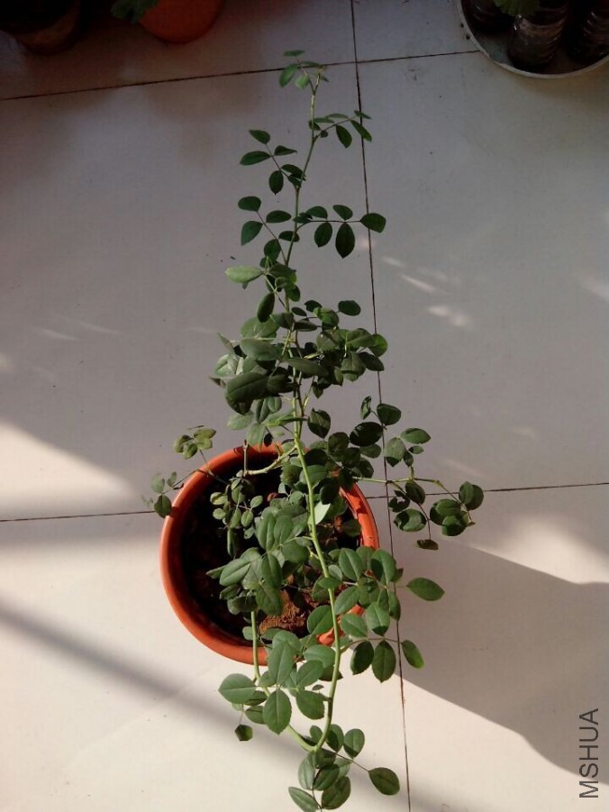 QQͼƬ20140723072206.jpg