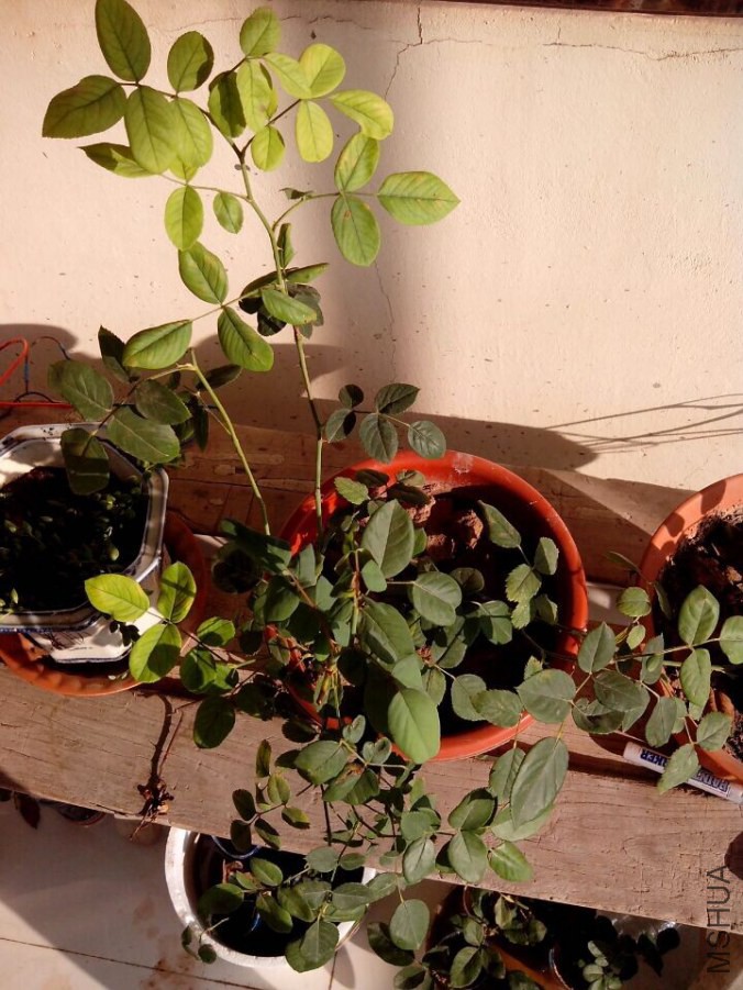 QQͼƬ20140723072210.jpg