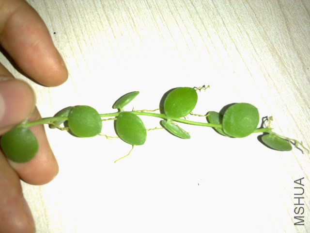 20140723204.jpg