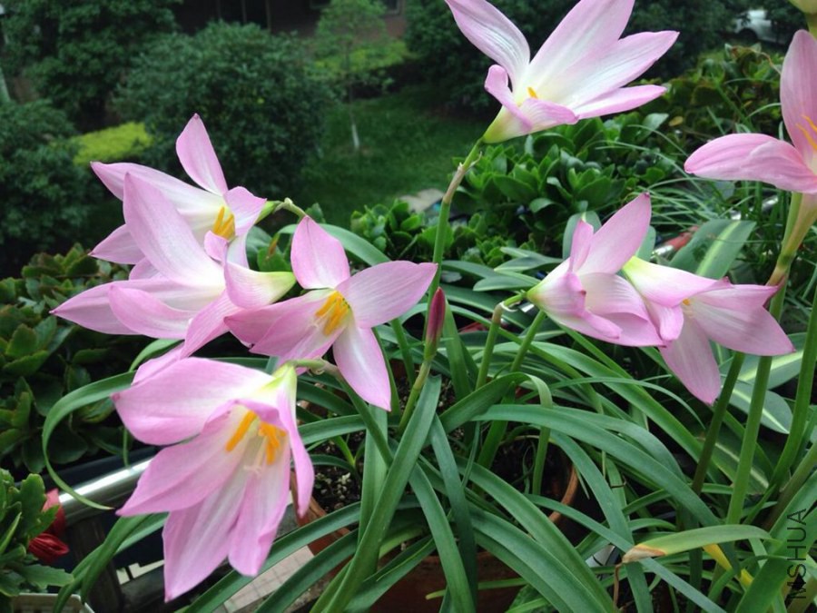 QQͼƬ20140723155759.jpg