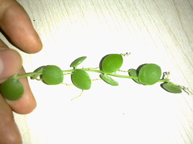 20140723204.jpg