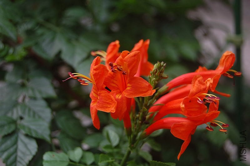 DSC_00210021.JPG