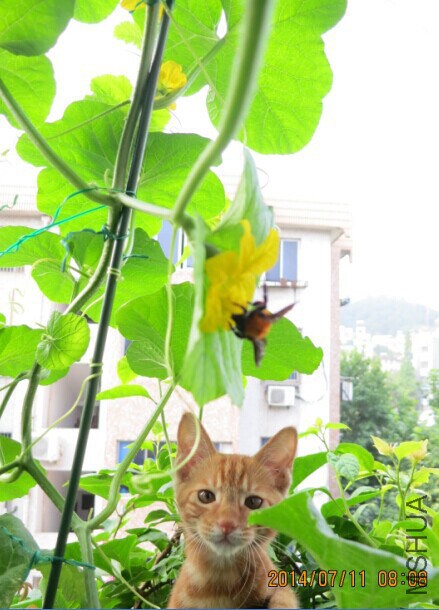QQͼƬ20140711082109.jpg