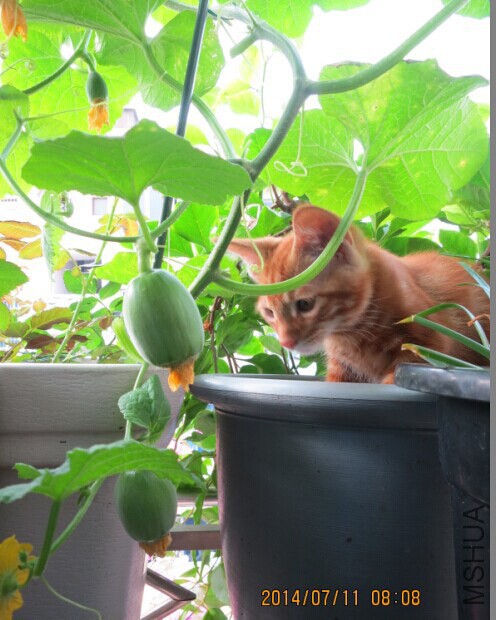 QQͼƬ20140711082032.jpg