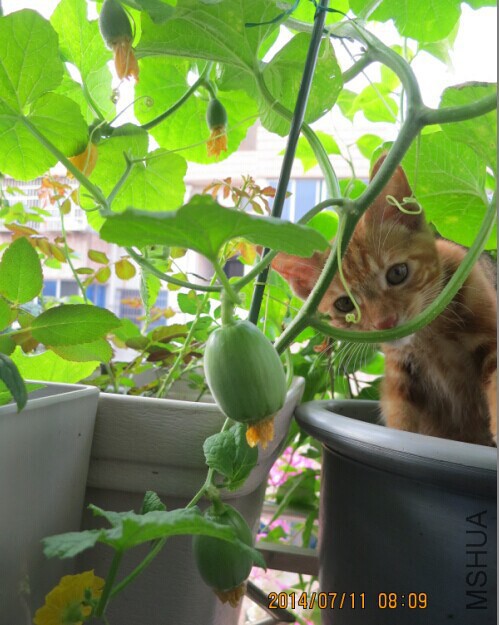 QQͼƬ20140711082124.jpg