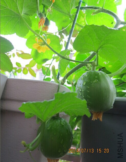 QQͼƬ20140725093218.jpg