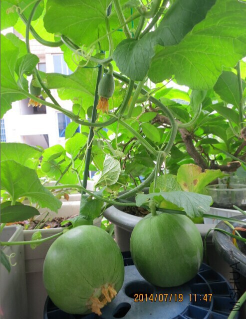 QQͼƬ20140725093047.jpg