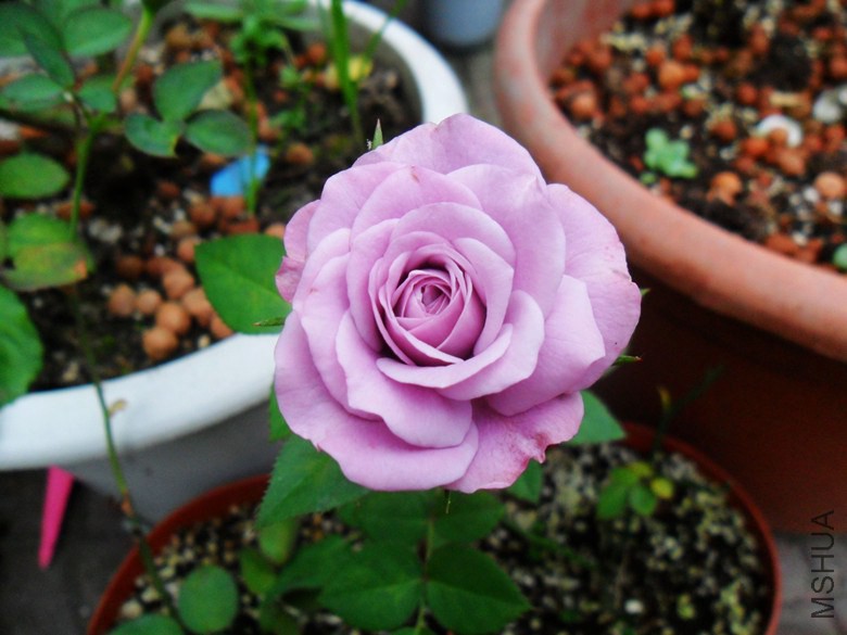 �Ͼ��� 888.jpg