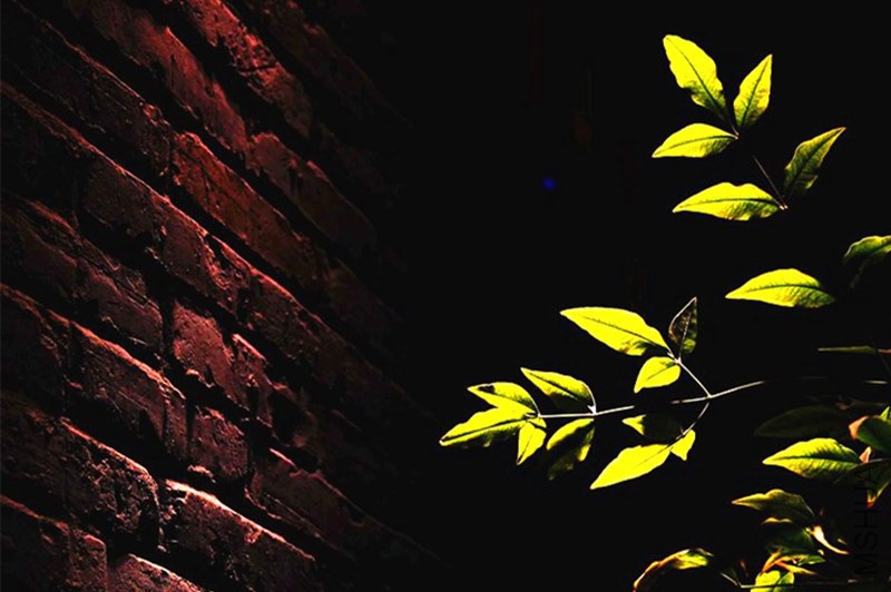 psb (19)_����.jpg