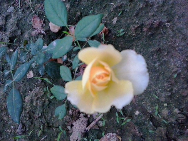 20140725_111528.jpg