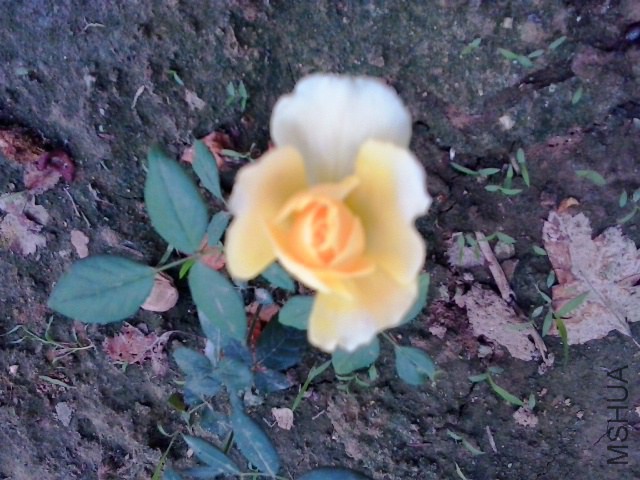 20140725_111607.jpg