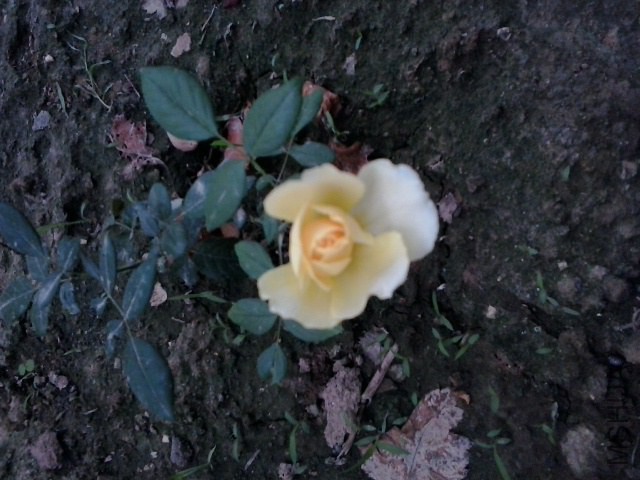 20140725_111625.jpg