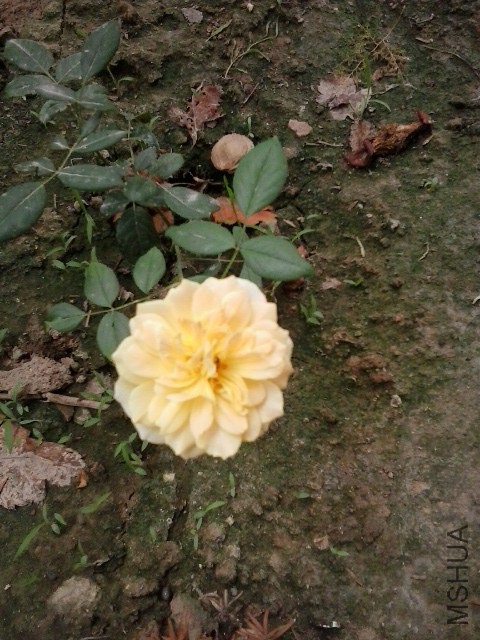 20140726_102637.jpg