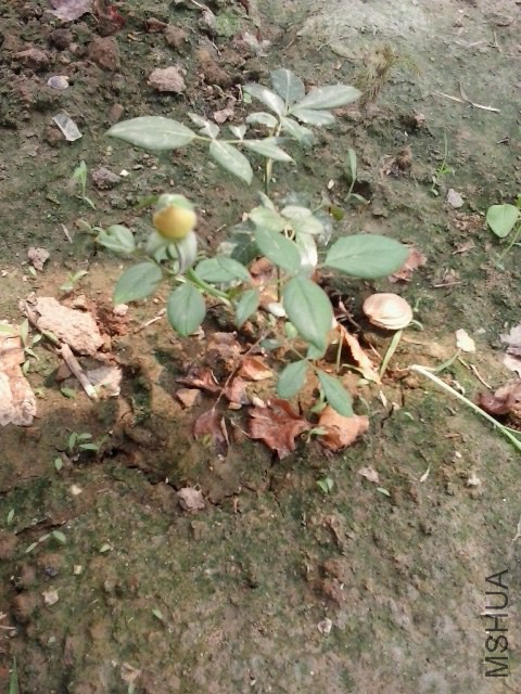 20140723_115748.jpg