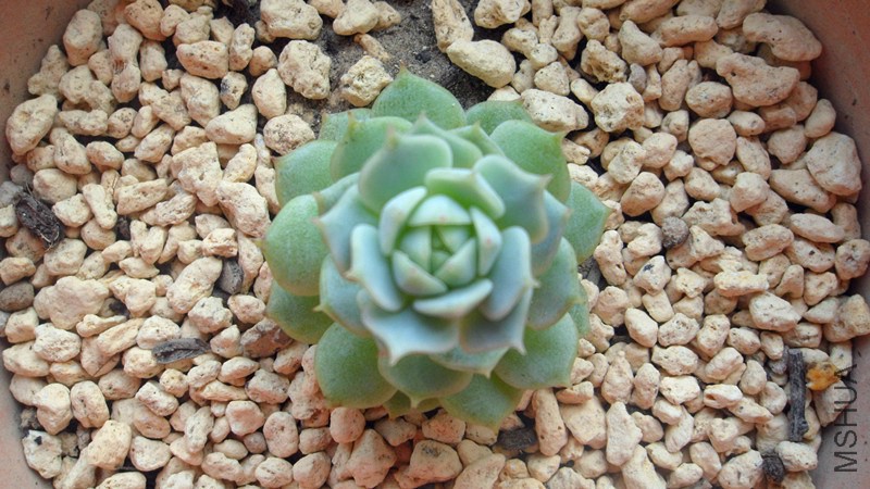 2���º�