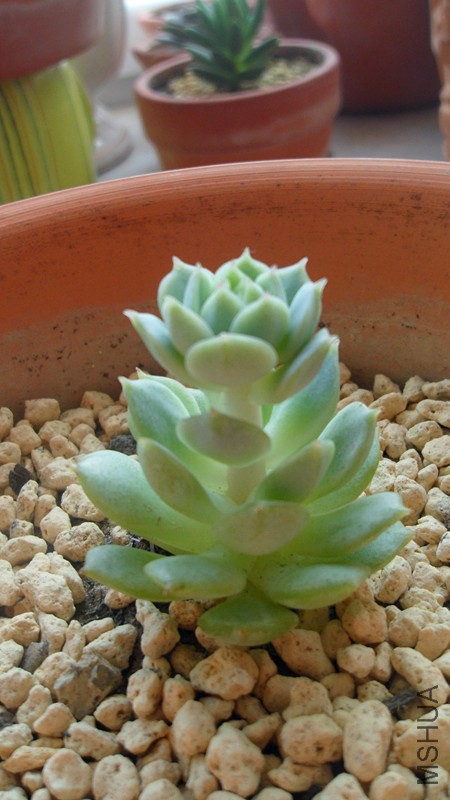 2�º�