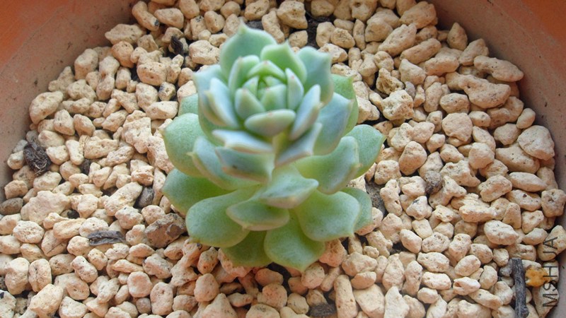 2�º�
