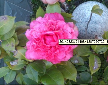 QQ��ͼ20140726163129.jpg