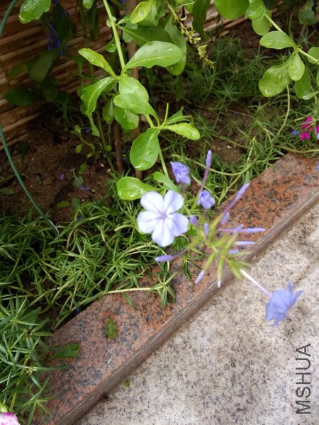 IMG20140727085242_������С.jpg