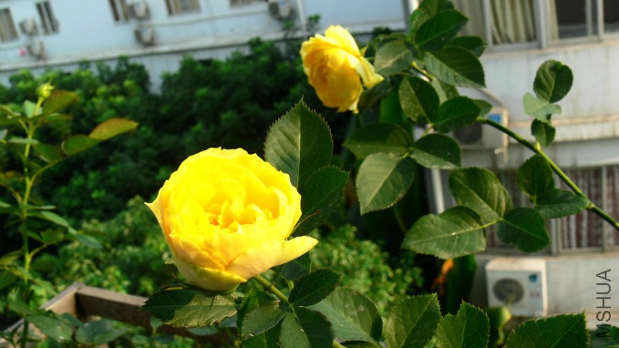 P1090253.jpg