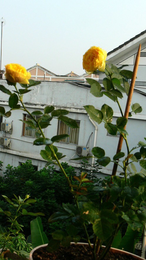 P1090265.jpg