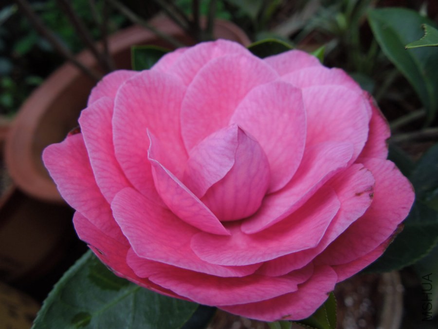 DSCN4208.JPG