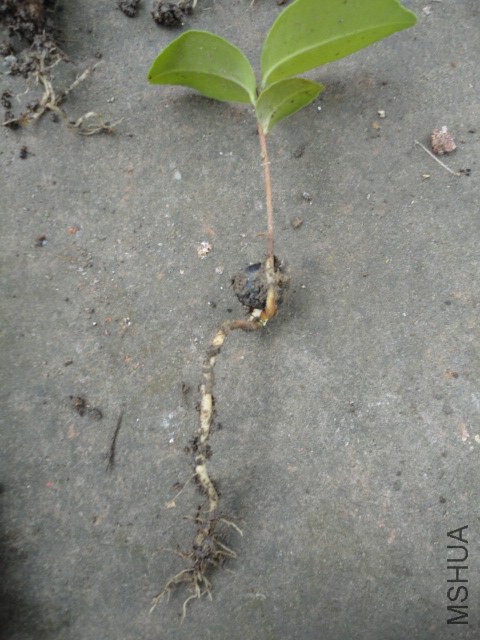 DSC05556.JPG