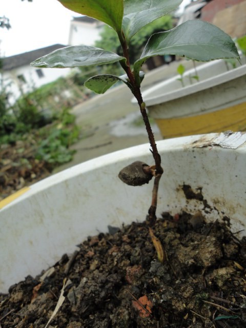 DSC05565.JPG