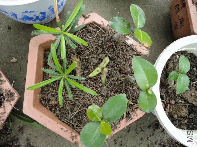DSC05573.JPG