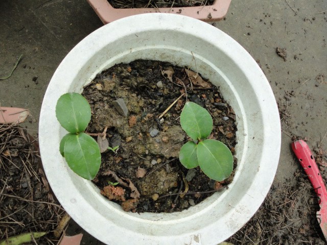 DSC05574.JPG