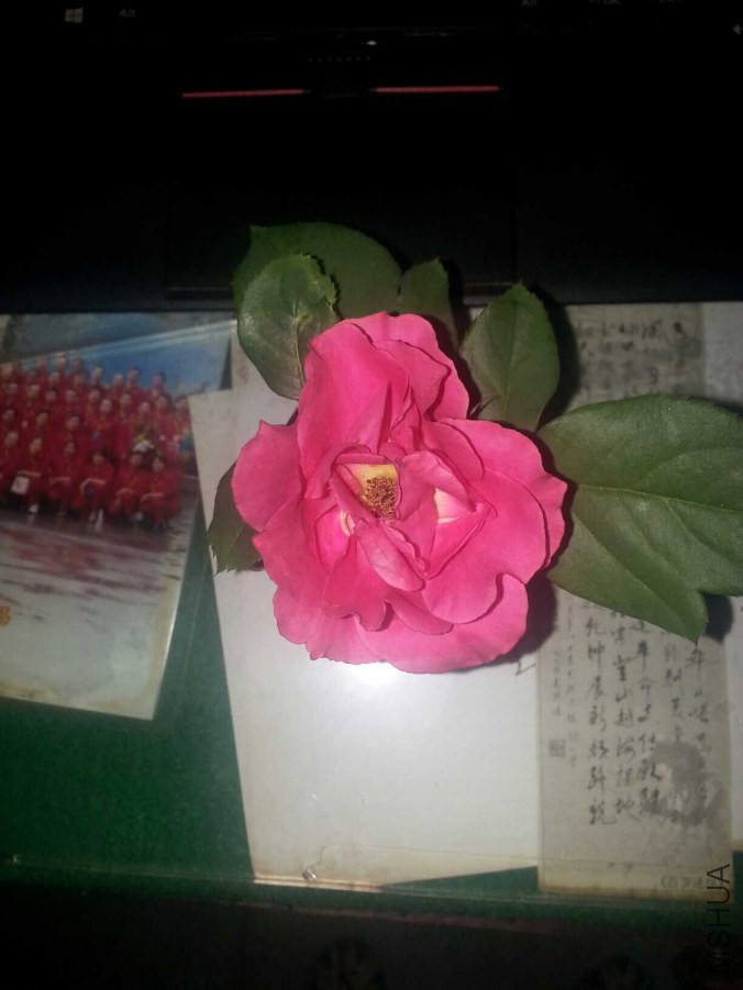 QQͼƬ20140729095235.jpg