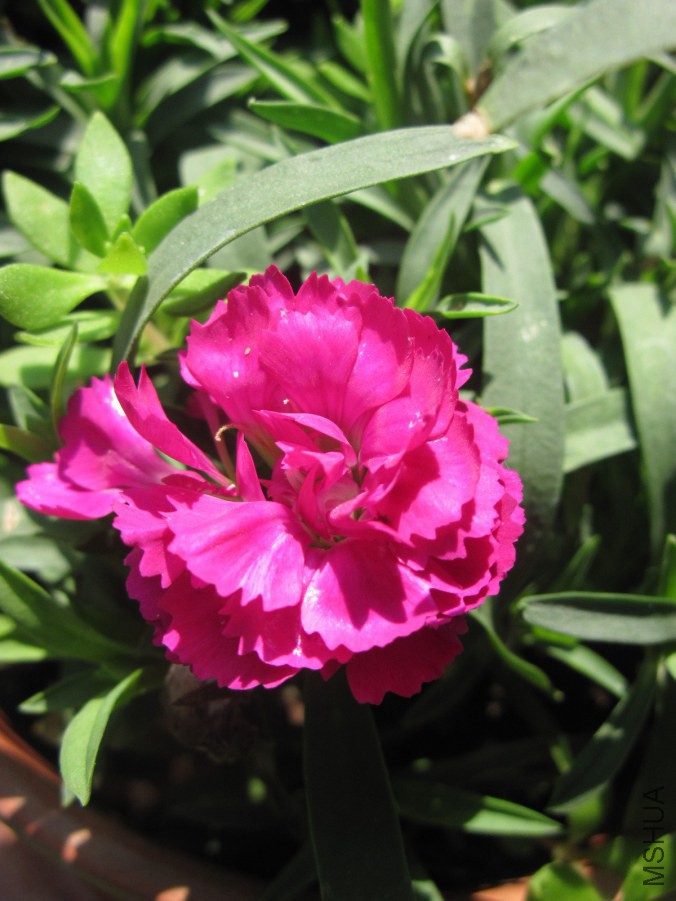 hahah 001.JPGdsf.jpg