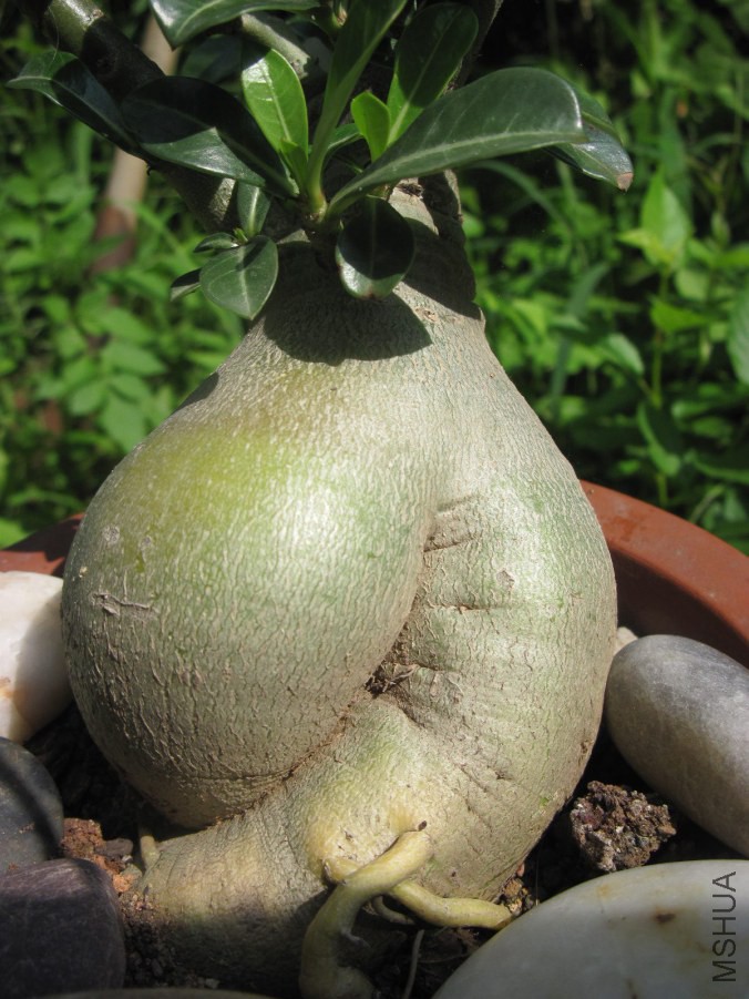 hahah 004_����.jpg