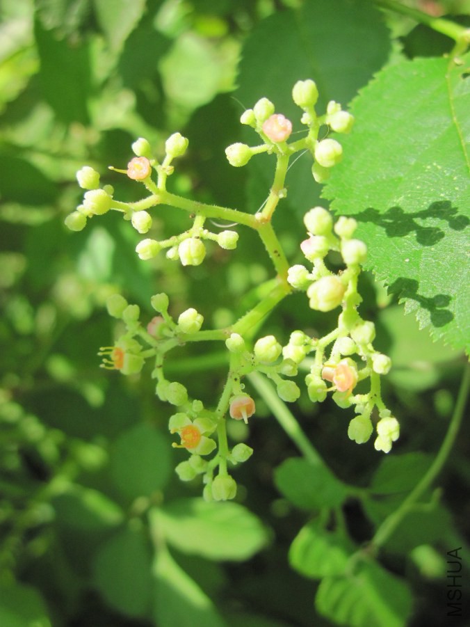 hahah 007_����.jpg