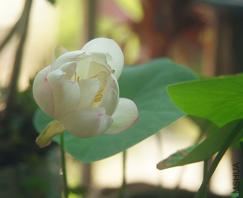 DSCF0162.jpg