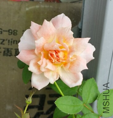 QQͼƬ20140731094604.jpg